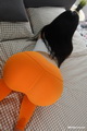 [ROSIд��]2021.05.01 NO.3435[50+1P80M]