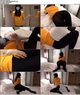 [ROSIд��]RS. ��ƵNO.448[1V��543MB]