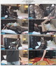 [PANS�°�] Vol. 854  ����_��Ƶ [MP4/739M