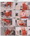 [Only-Opaques] 2026.02.26 Rosa - Set #11706